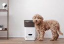 Pets ‘go hungry’ after smart feeder goes offline