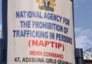 Uromi pastor, herbalist, farmer arrested for raping, impregnating 12 year-old girl – P.M. News
