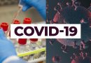 COVID-19: Cases Hit 7,303 With 186 New Infections