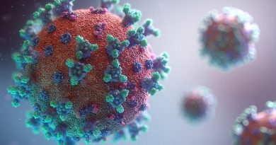 The Coronavirus Global Pandemic And The Government Of Ghana’s Measures: An Analysis By The African Centre For Health Policy, Research And Analysis