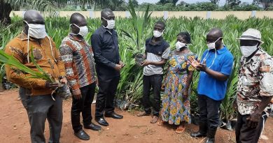 Gomoa Central District Assembly To Distribute 100,000 Free Oil Palm Seedlings To Farmers