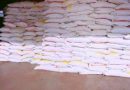 Hajia Abibata Surprises Yendi Farmers With 1,800 Fertilizers, 600 Knapsack sprayers, 5,400 bags of Maize Seeds