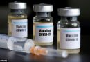 Human Trial Of India Coronavirus Vaccine Announced