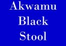 Akwamu Black Stool is for the Great Ansah Sasraku from Yaa Ansaa Royal Family – Late Odeneho Kwafo Akoto II