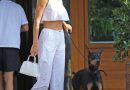 Kendall Jenner Shows Off Her Abs in a Peplum Crop Top and White Pants