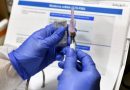 Several COVID-19 Vaccines Limit Viral Growth In Monkeys — Reports