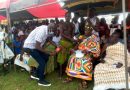 My Son Is Beneficiary Of Free SHS — Kwapong Chief Lauds Akufo-Addo