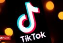 TikTok lives to see another day in US