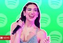 Dua Lipa and other Spotify artists’ pages hacked by Taylor Swift ‘fan’