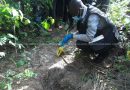 Sogakope: Woman found dead, buried on cassava farm at Bakpo
