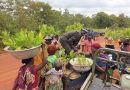 Greening agricultural produce for people and the planet: the story of a Social Entrepreneur in Ghana