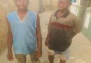 Wa: How 13- year-old twin brothers who never saw their father dropped out of school to sell yam