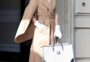 A Brunette Lady Gaga Channeled Breakfast at Tiffany’s in a Chic Max Mara Camel Coat and Celine Bag