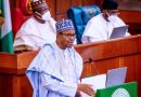 Nigeria’s National Assembly, A Democratic Disaster Fuelling The Arrogance Of The Worst “President” In The World By Elias Ozikpu