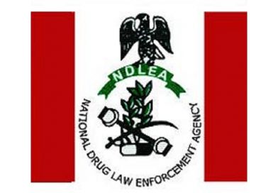 Frank Edoho, Mr Macaroni, others condemn Lagos NDLEA raid – Daily Trust