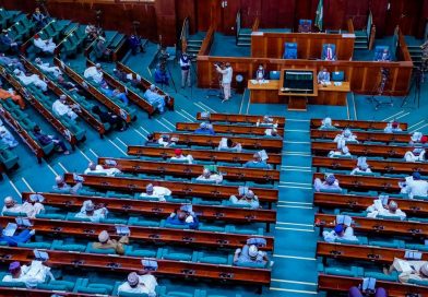 Insecurity: Reps ask FG to erect perimeter at NICT, Edo State – Vanguard