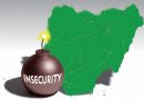 Lawmaker Identifies Insecurity as Bane of Devt, Food Security – THISDAY Newspapers