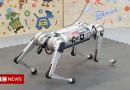 Robot cheetah learns to run by itself and other tech news