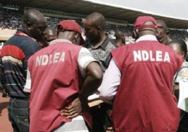 Drug War: 9.5million Tramadol tablets worth N5bn seized at Lagos airport, Abuja, Edo by NDLEA, NCS – Daily Sun Drug War: 9.5million Tramadol tablets worth N5bn seized at Lagos airport, Abuja, Edo by NDLEA, NCS – Daily Sun