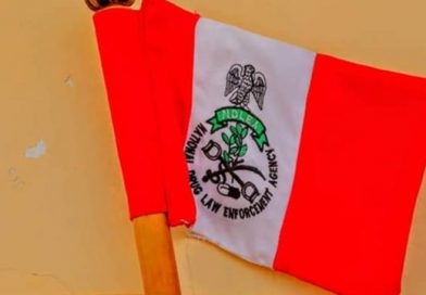 Drug war: NDLEA, NCS seize N5bn Tramadol tablets at Lagos, Abuja airports, Edo – The Sun Nigeria – Daily Sun Drug war: NDLEA, NCS seize N5bn Tramadol tablets at Lagos, Abuja airports, Edo – The Sun Nigeria – Daily Sun