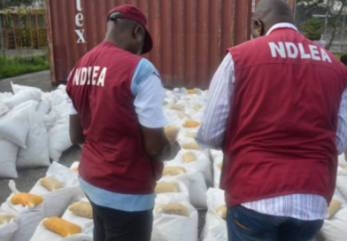 N5bn worth of tramadol tablets seized in Lagos, Abuja, Edo – Businessday N5bn worth of tramadol tablets seized in Lagos, Abuja, Edo – Businessday