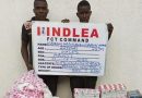 NDLEA seizes N5bn worth of tramadol in 3 states – Pulse Nigeria