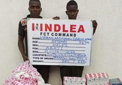 NDLEA seizes N5bn worth of tramadol in 3 states – Pulse Nigeria NDLEA seizes N5bn worth of tramadol in 3 states – Pulse Nigeria