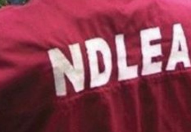NDLEA seizes tramadol worth N5bn in Lagos, Abuja, Edo – Punch Newspapers