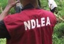 Over N5bn worth of tramadol seized in Abuja, Edo, Lagos – NDLEA – Daily Post Nigeria