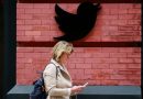 Twitter adds 30 million new users in run up to Musk sale