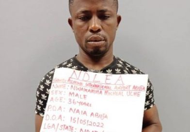 Italy Based Nigerian Excretes 95 Pellets Of Heroin At Abuja Airport – THEWILL NEWS MEDIA Italy Based Nigerian Excretes 95 Pellets Of Heroin At Abuja Airport – THEWILL NEWS MEDIA