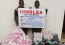 NDLEA seizes N5bn worth of tramadol in 3 states – Chronicle.ng