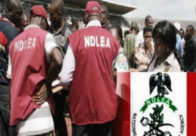 Wanted Drug Lord Arrested in Ondo – THISDAY Newspapers Wanted Drug Lord Arrested in Ondo – THISDAY Newspapers